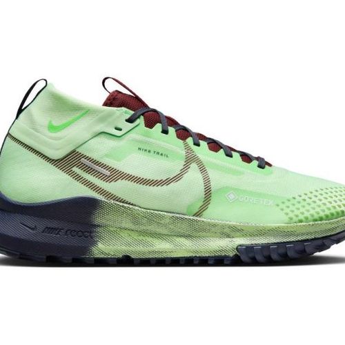 کفش تریل رانینگ نایک مردانه مدل  pegasus trail 4 GORE-TEX